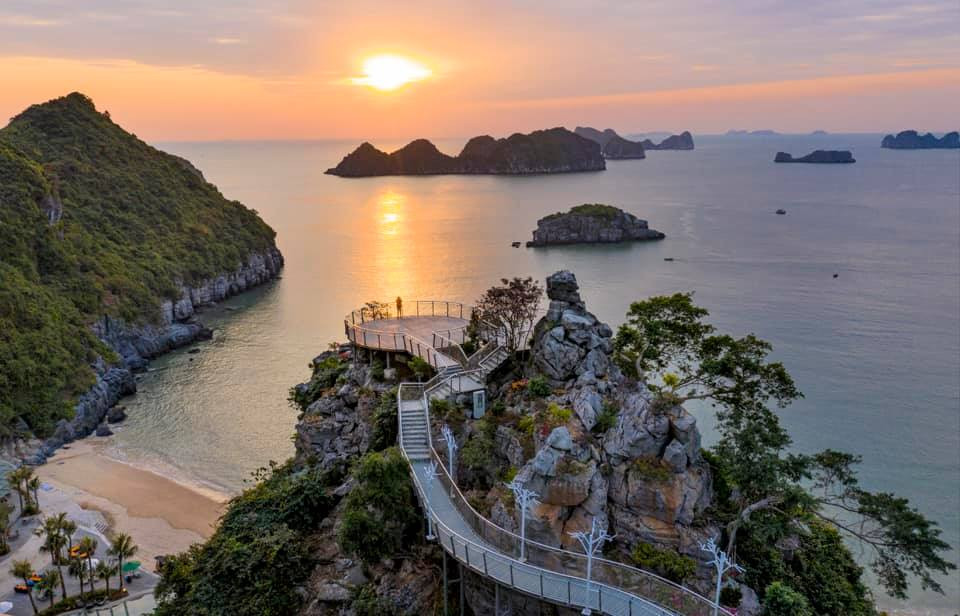 Black Agent, CEO & Founder