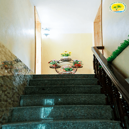 Catba Tropicana Homestay