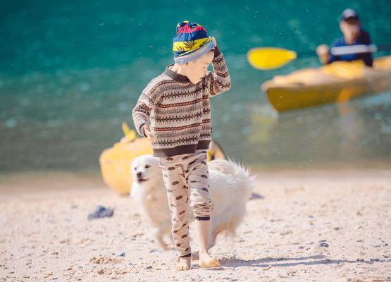 Kinh Nghiệm Du Lịch Cát Bà Cho Gia Đình Có Trẻ Nhỏ 