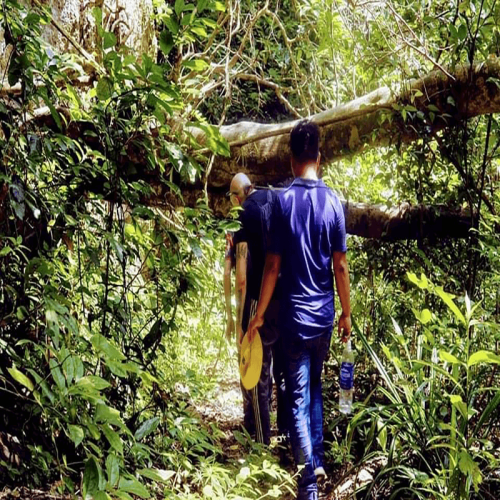 Tour Trekking- Ngủ rừng -Thăm  vịnh Lan Hạ - Cát Bà 2 ngày 1 đêm