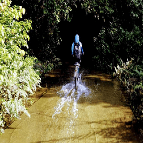 Tour Trekking- Ngủ rừng -Thăm  vịnh Lan Hạ - Cát Bà 2 ngày 1 đêm