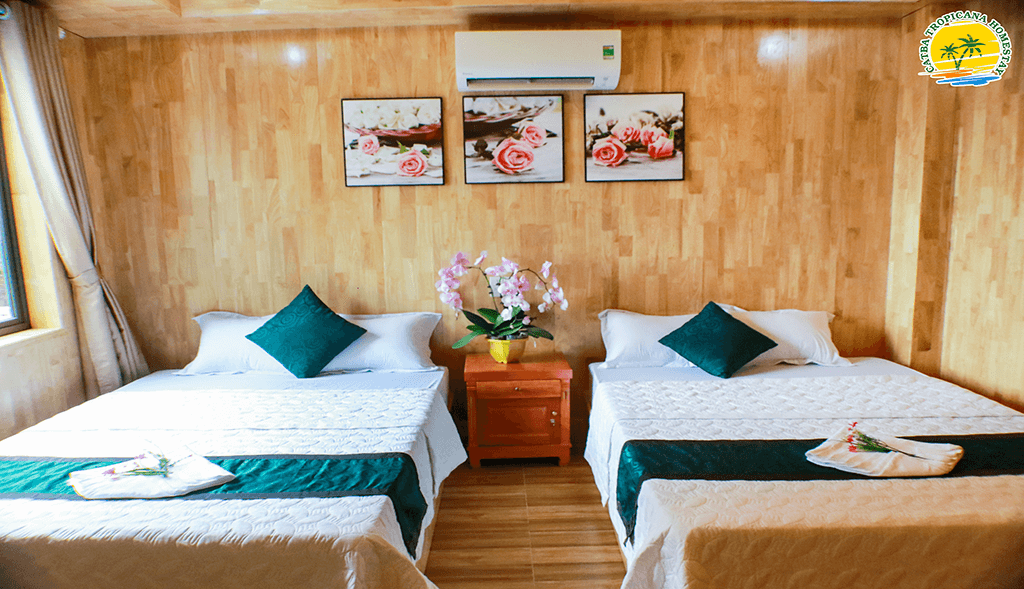 homestay C&aacute;t B&agrave;