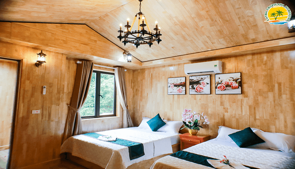 combo du lich C&aacute;t B&agrave; 2 ng&agrave;y 1 đ&ecirc;m nghỉ tại C&aacute;t b&agrave; Tropicana homestay