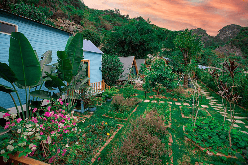 Blue Lagoon Homestay C&aacute;t B&agrave;