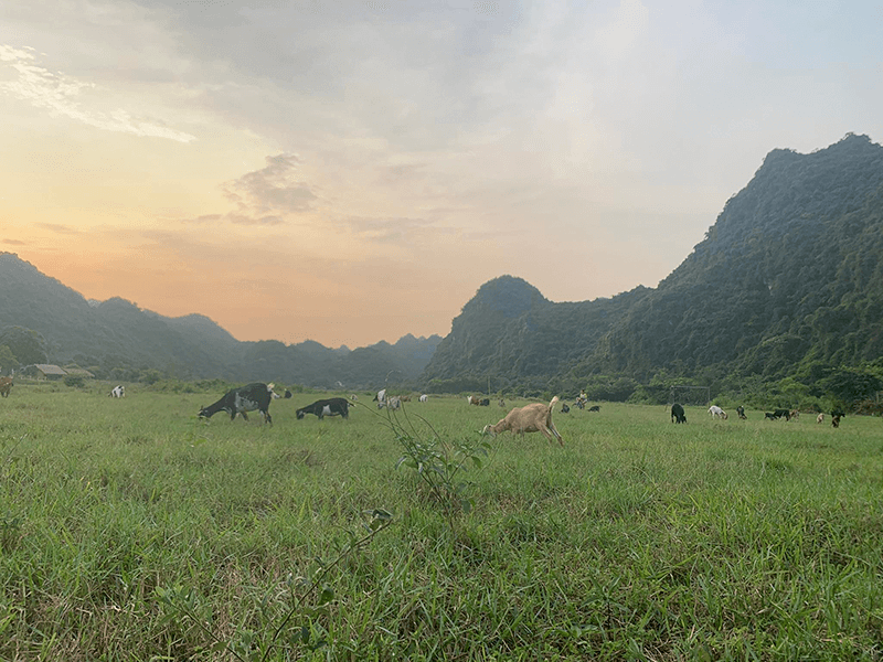 L&agrave;ng Việt Hải