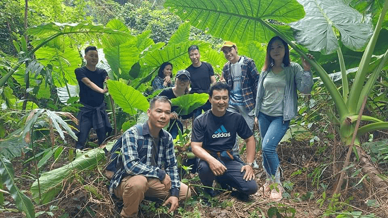 Trekking xuy&ecirc;n rừng nguy&ecirc;n C&aacute;t B&agrave;