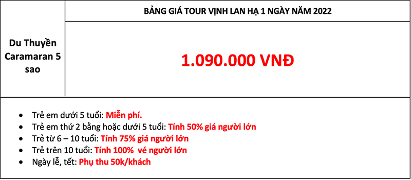 Gi&aacute; tour du thuyền Catamaran C&aacute;t B&agrave;