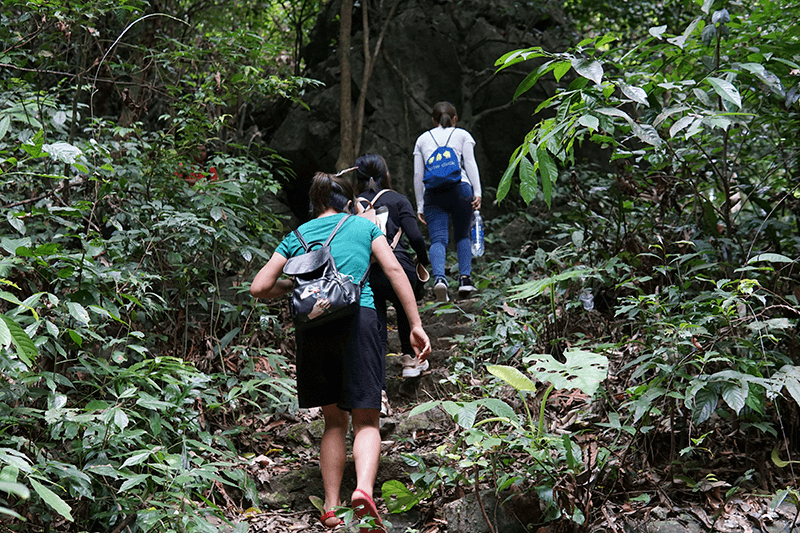 Trekking  rừng quốc gia C&aacute;t B&agrave;