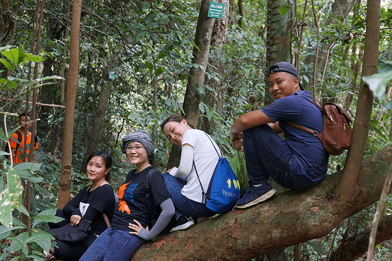 Check  in  rừng  quốc  gia  C&aacute;t  B&agrave;